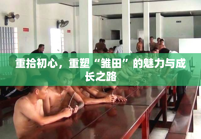 重拾初心，重塑“雏田”的魅力与成长之路
