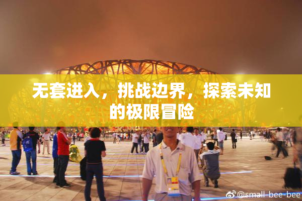 无套进入，挑战边界，探索未知的极限冒险