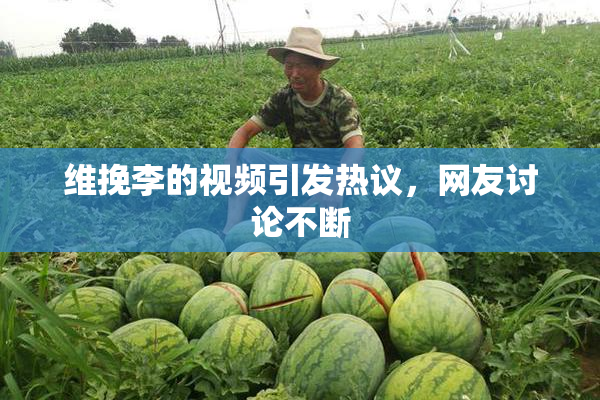 维挽李的视频引发热议，网友讨论不断