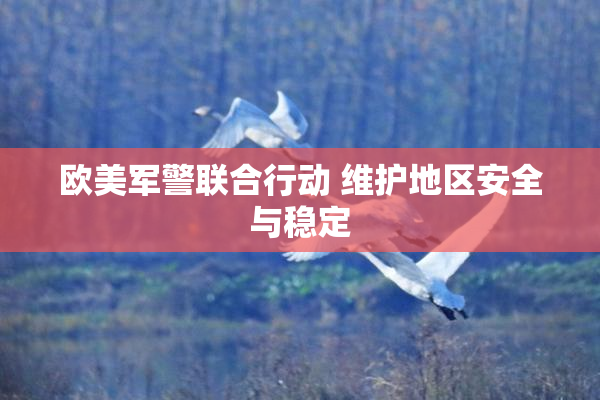 欧美军警联合行动 维护地区安全与稳定