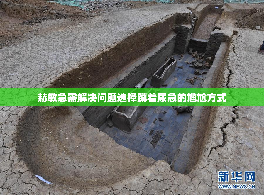 赫敏急需解决问题选择蹲着尿急的尴尬方式