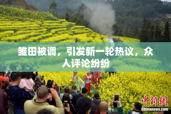 雏田被调，引发新一轮热议，众人评论纷纷
