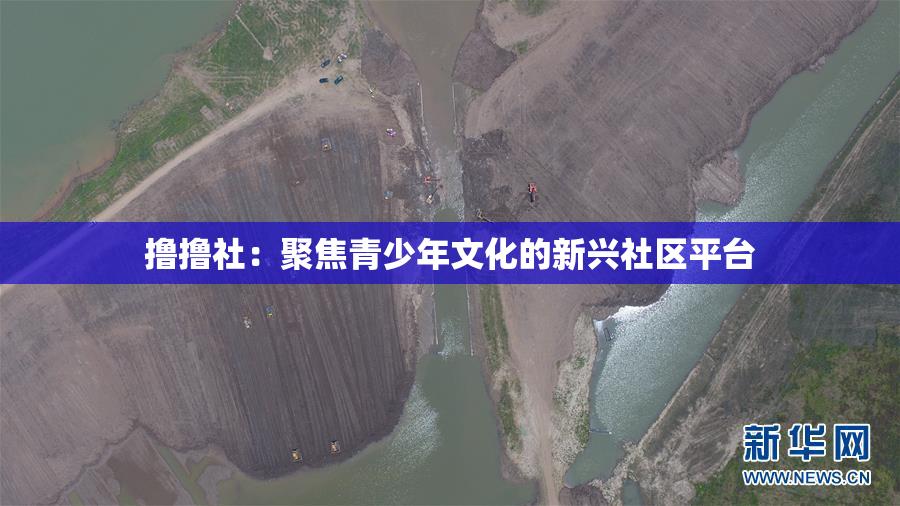 撸撸社：聚焦青少年文化的新兴社区平台