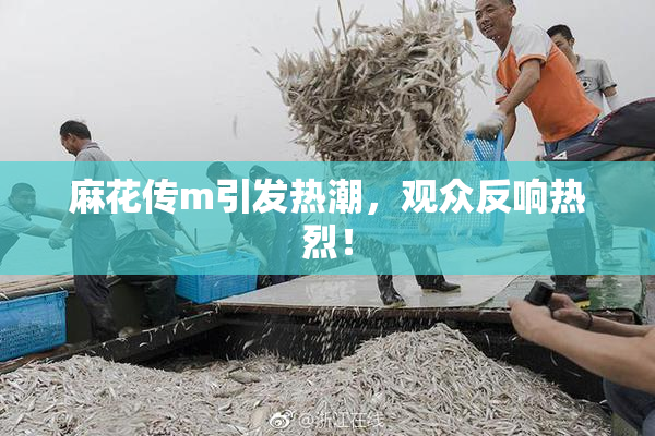 麻花传m引发热潮，观众反响热烈！
