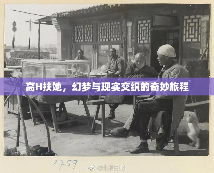 高H扶她，幻梦与现实交织的奇妙旅程
