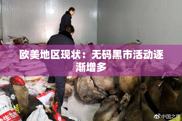 欧美地区现状：无码黑市活动逐渐增多