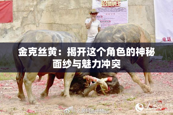 金克丝黄：揭开这个角色的神秘面纱与魅力冲突