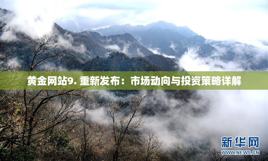 黄金网站9. 重新发布：市场动向与投资策略详解