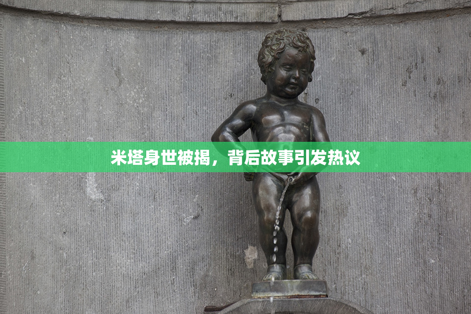 米塔身世被揭，背后故事引发热议