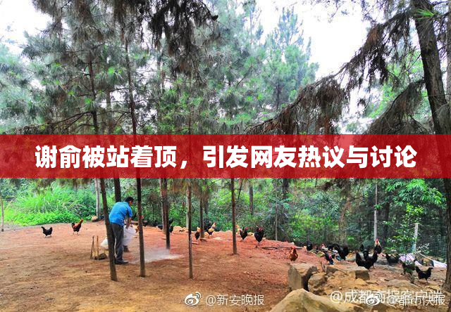谢俞被站着顶，引发网友热议与讨论