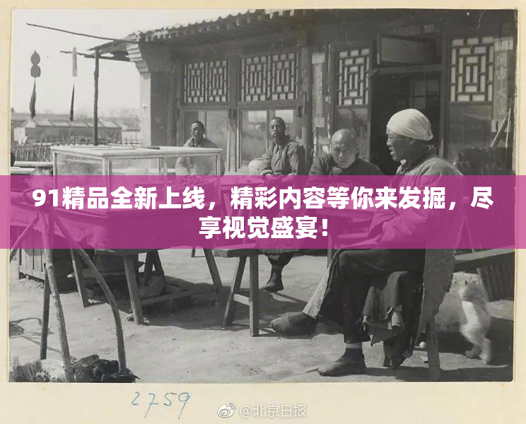 91精品全新上线，精彩内容等你来发掘，尽享视觉盛宴！