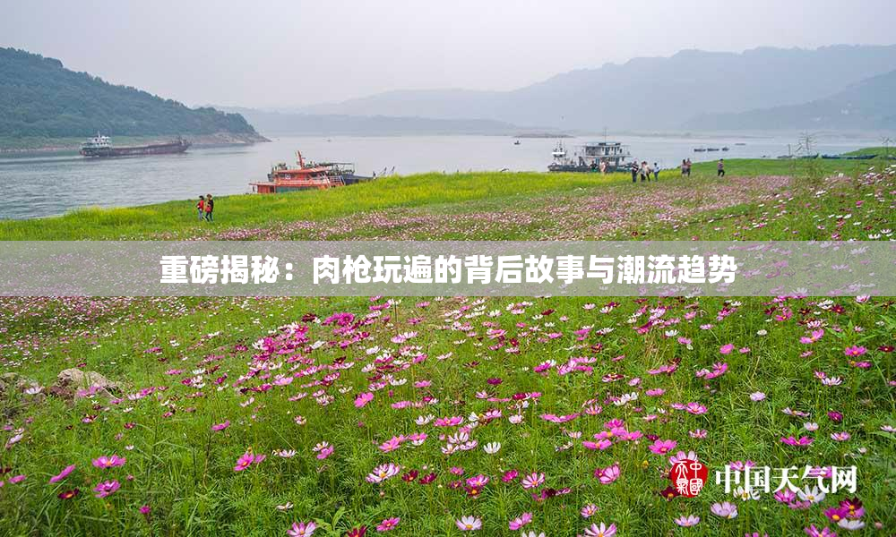 重磅揭秘：肉枪玩遍的背后故事与潮流趋势