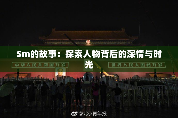 Sm的故事：探索人物背后的深情与时光