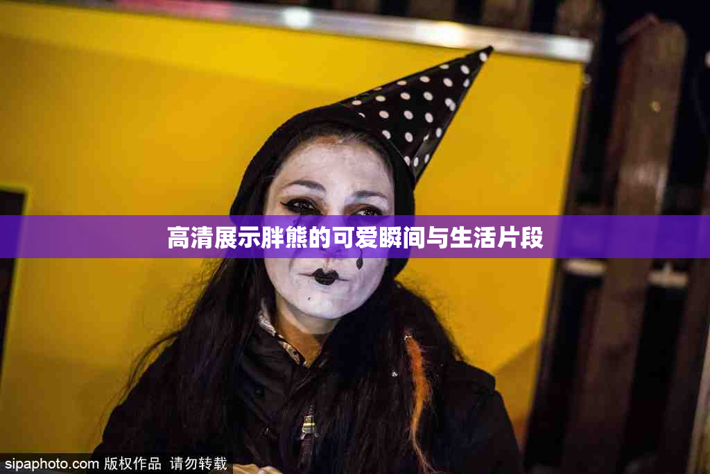 高清展示胖熊的可爱瞬间与生活片段
