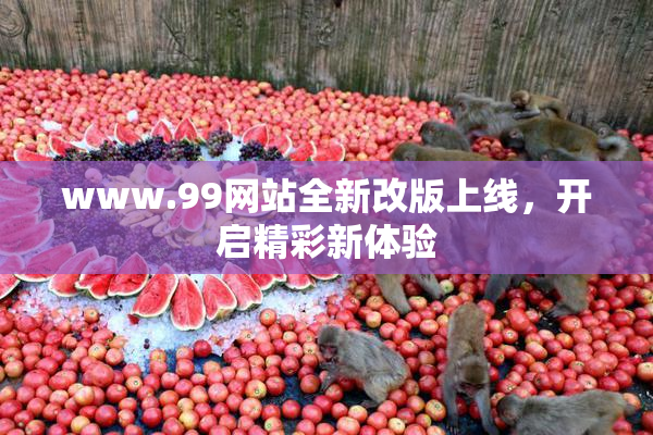www.99网站全新改版上线，开启精彩新体验