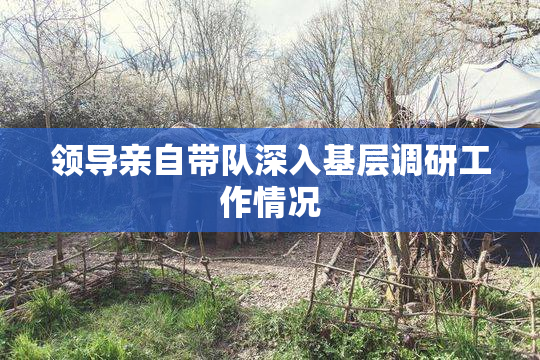 领导亲自带队深入基层调研工作情况