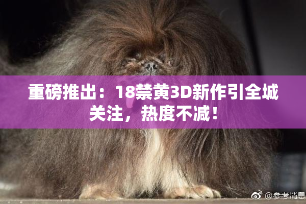 重磅推出：18禁黄3D新作引全城关注，热度不减！