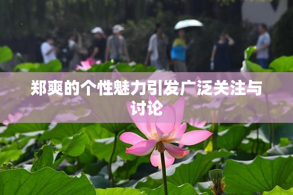 郑爽的个性魅力引发广泛关注与讨论