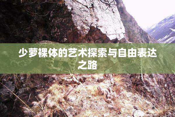 少萝裸体的艺术探索与自由表达之路