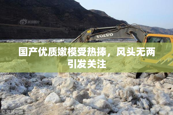 国产优质嫩模受热捧，风头无两引发关注