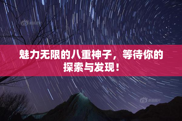 魅力无限的八重神子，等待你的探索与发现！
