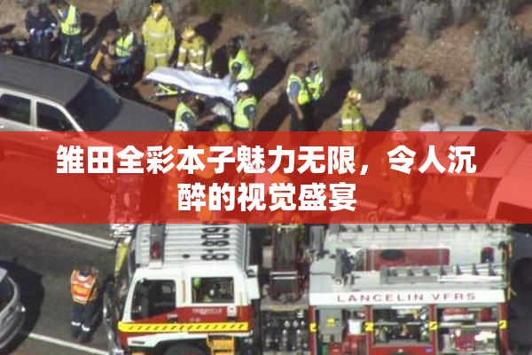 雏田全彩本子魅力无限，令人沉醉的视觉盛宴