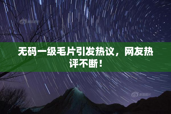 无码一级毛片引发热议，网友热评不断！