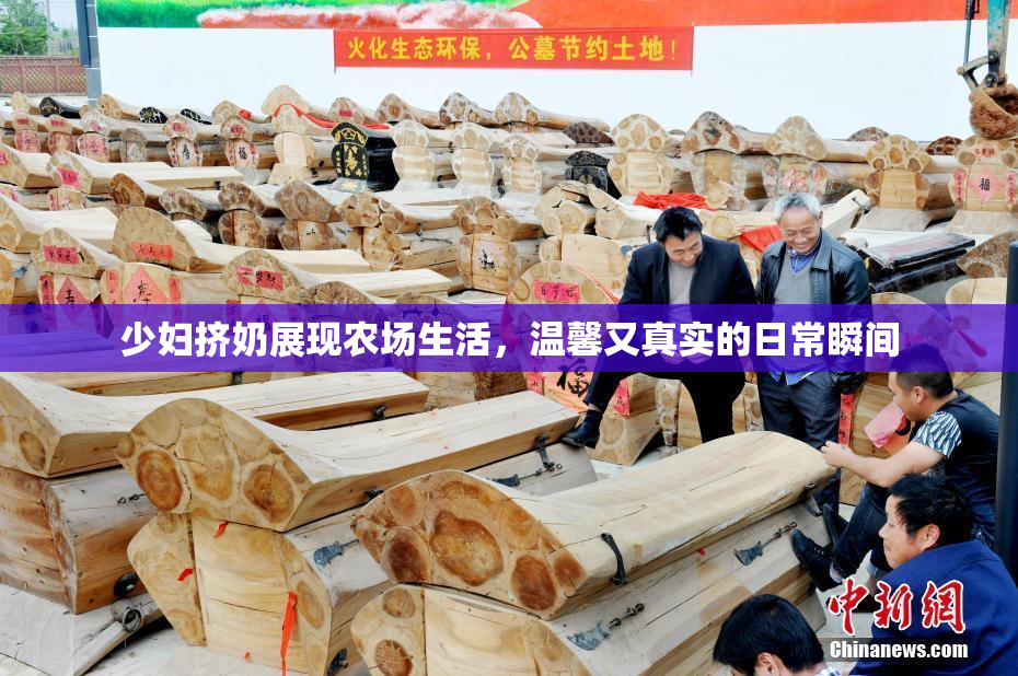 少妇挤奶展现农场生活，温馨又真实的日常瞬间