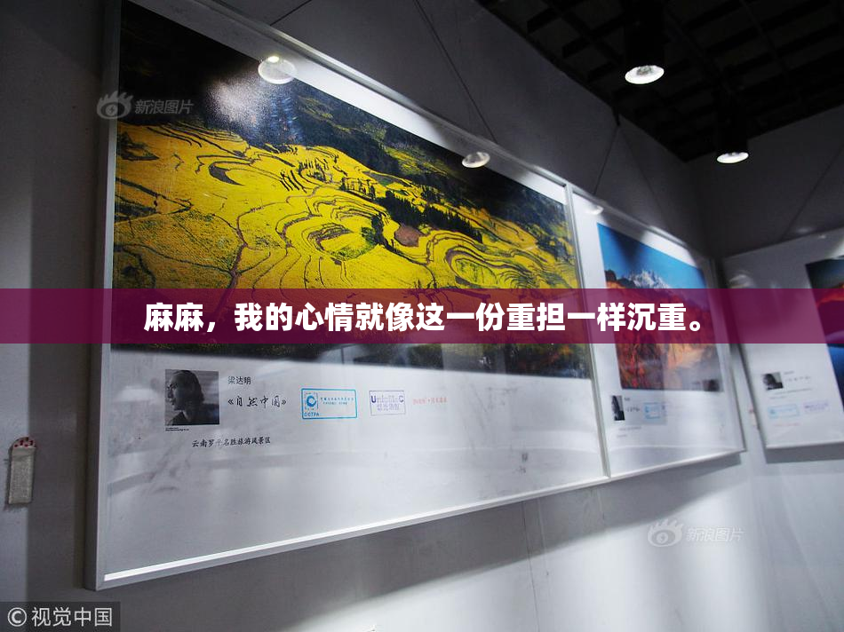 麻麻，我的心情就像这一份重担一样沉重。