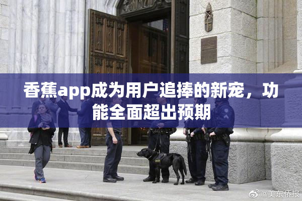 香蕉app成为用户追捧的新宠，功能全面超出预期