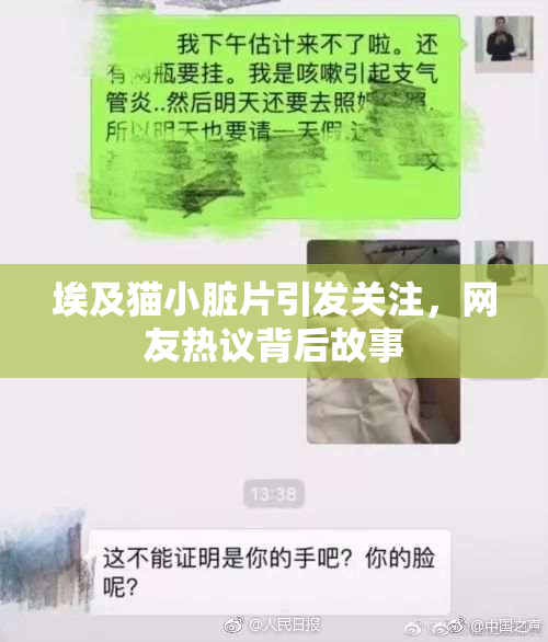 埃及猫小脏片引发关注，网友热议背后故事