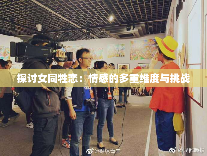 探讨女同牲恋：情感的多重维度与挑战