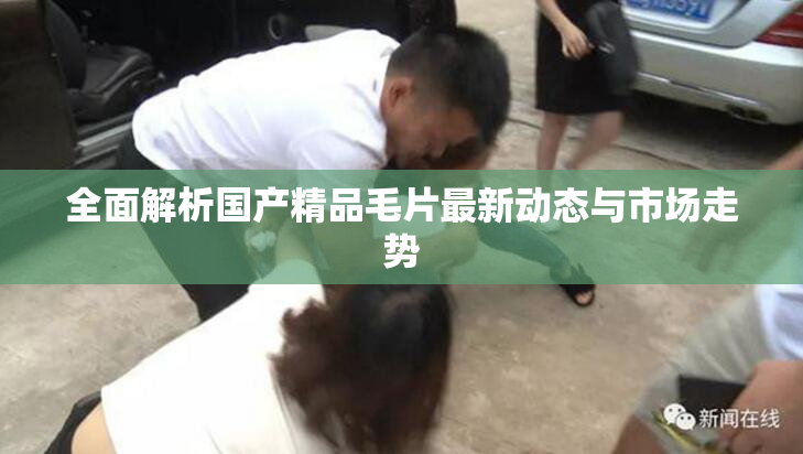 全面解析国产精品毛片最新动态与市场走势