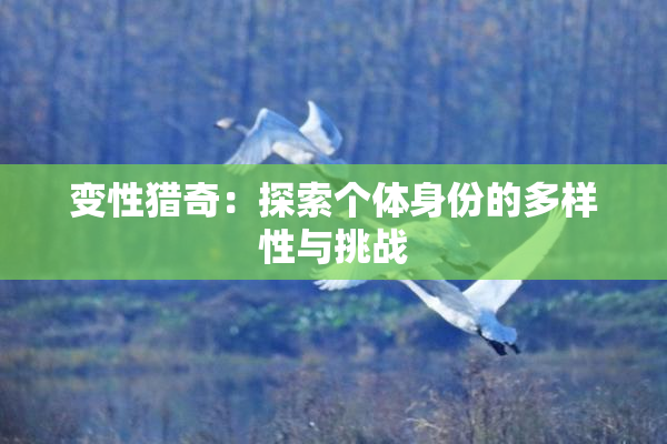变性猎奇：探索个体身份的多样性与挑战