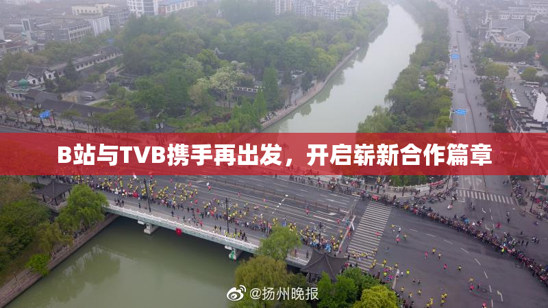 B站与TVB携手再出发，开启崭新合作篇章