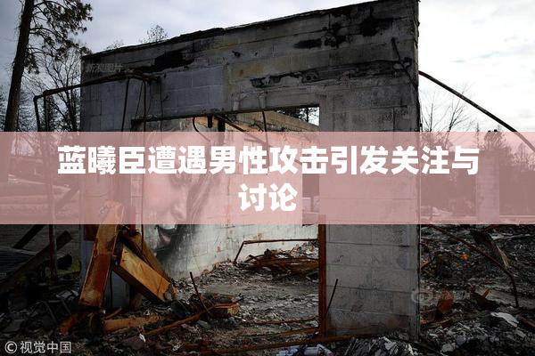 蓝曦臣遭遇男性攻击引发关注与讨论