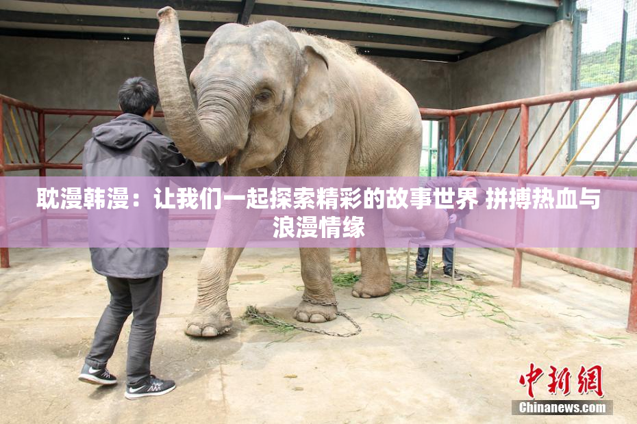 耽漫韩漫：让我们一起探索精彩的故事世界 拼搏热血与浪漫情缘
