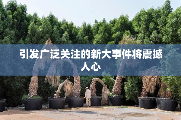引发广泛关注的新大事件将震撼人心