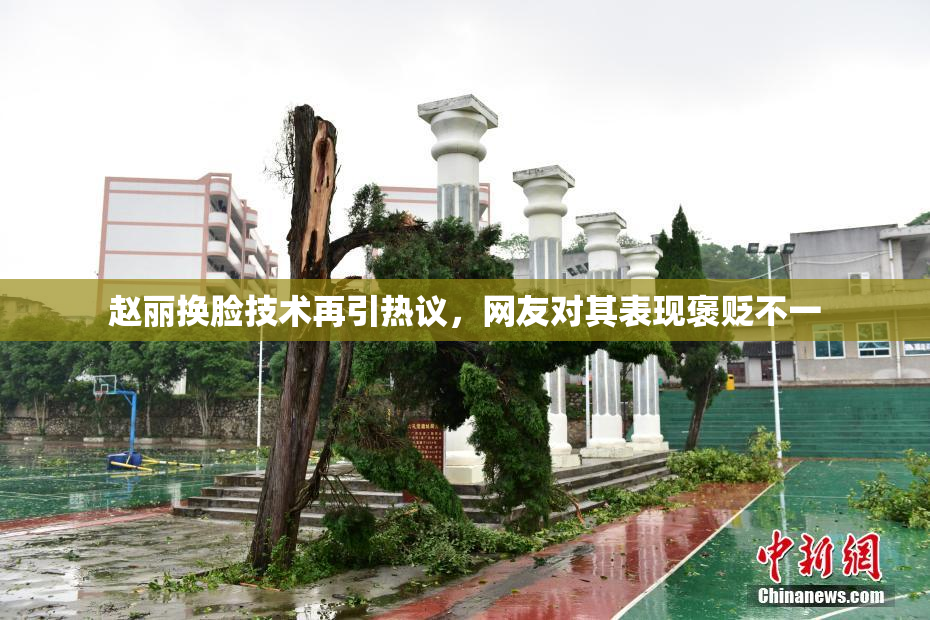 赵丽换脸技术再引热议，网友对其表现褒贬不一