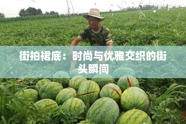 街拍裙底：时尚与优雅交织的街头瞬间