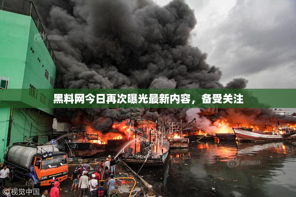 黑料网今日再次曝光最新内容，备受关注