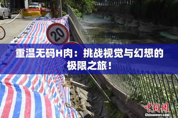 重温无码H肉：挑战视觉与幻想的极限之旅！