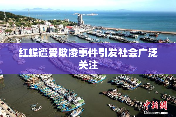 红蝶遭受欺凌事件引发社会广泛关注