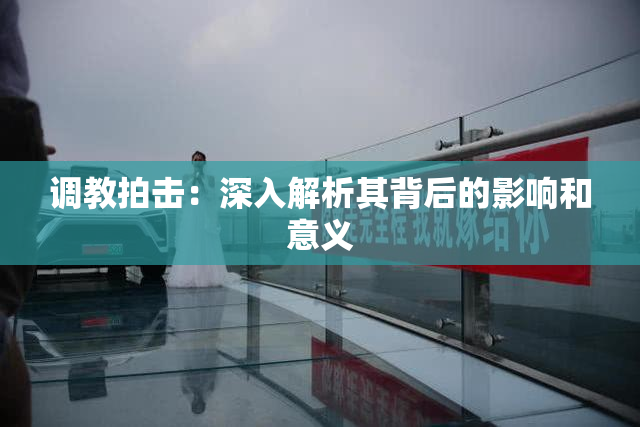 调教拍击：深入解析其背后的影响和意义