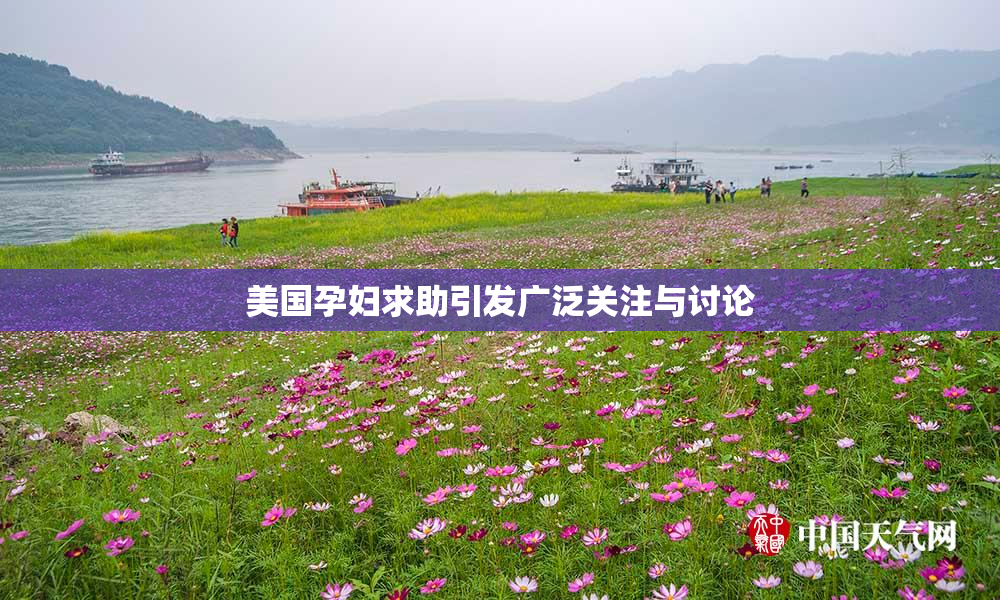 美国孕妇求助引发广泛关注与讨论
