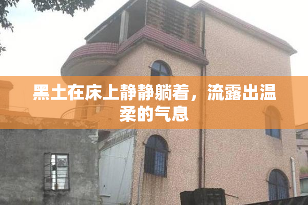 黑土在床上静静躺着，流露出温柔的气息