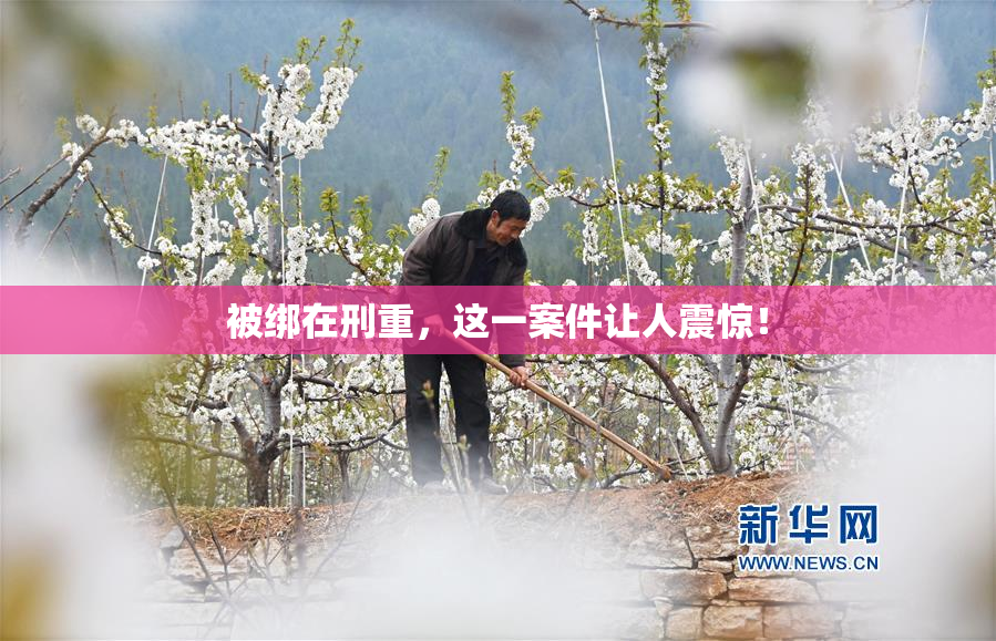 被绑在刑重，这一案件让人震惊！