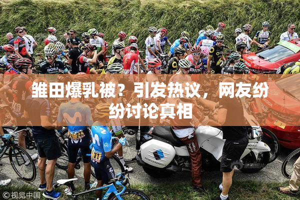 雏田爆乳被？引发热议，网友纷纷讨论真相