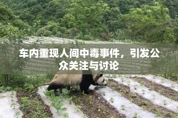车内重现人间中毒事件，引发公众关注与讨论