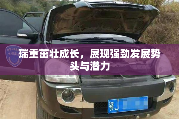 瑞重茁壮成长，展现强劲发展势头与潜力